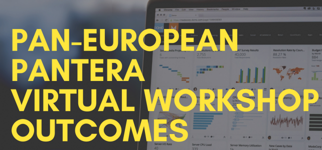 Pan-European PANTERA Virtual Workshop (EUSEW 2020) outcomes